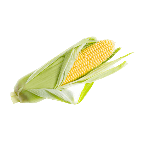 organicc-corn.png