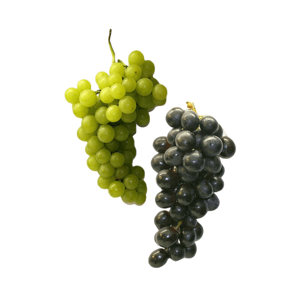 organicc-grapes.png